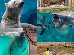 -珠海长隆海洋王国