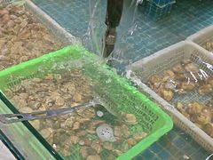 -和源祥·日照菜扛把子(万平口一店)