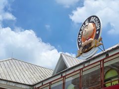 -史努比缤纷世界