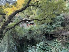 -安溪清水岩