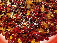 -重庆火锅水库鱼庄(南油店)