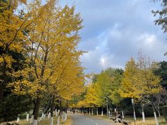 -长白岛森林公园