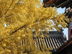 -承恩寺