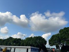 -朱家尖南沙景点