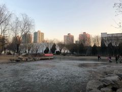 -丰台科技园生态主题公园