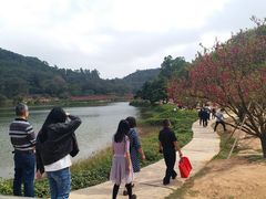 -南国桃园旅游度假区