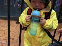 -梦幻奥陶纪景区