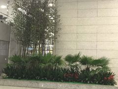 -上海浦东国际机场-T2航站楼
