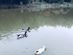 -白鹿原影视城