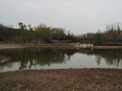 -大望京公园