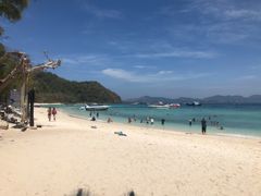 -珊瑚岛