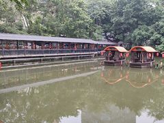 -侨美·唐荔园·40年地道粤菜