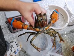 -锦里海景海鲜餐厅.三亚老字号(亚龙湾中心广场店)
