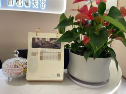 -丽栢嘉美容