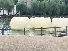 -莲湖公园