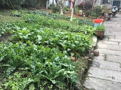 -小河无名面馆