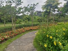 -广西壮族自治区药用植物园