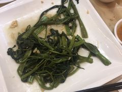 -锦粤宫·精致粤菜(深圳北站店)