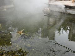 -湖南别院·美学庭院餐厅(惠阳店)