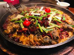 -老板恋上鱼(荣盛广场店)