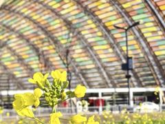 -中国天府农业博览园