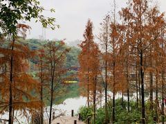 -重庆彩云湖湿地公园