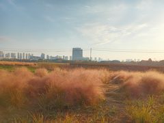 -尚贤河湿地