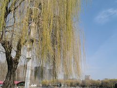 -裕华世纪公园