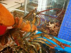 android_upload_pic-蓝港海鲜厨房(金水路店)