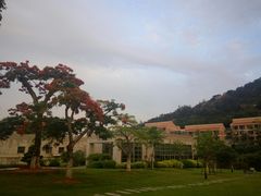 -厦门国家会计学院
