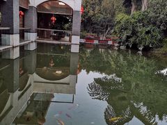 景观位-湖泉水云间餐厅·弥勒地道菜(B座店)