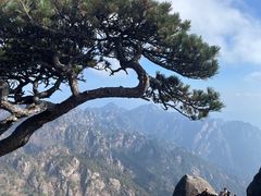 -黄山风景区