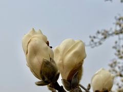 -汇泉广场