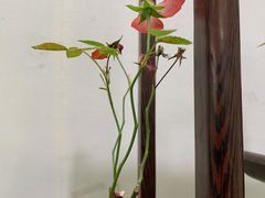-郑州植物园
