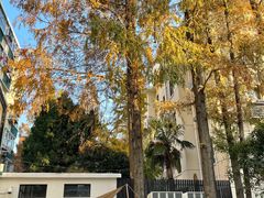 -一尺花园(安和花园店)