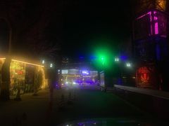 -枫花园汽车电影院(朝阳公园店)