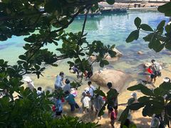 -海南分界洲岛旅游区