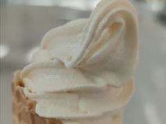 -春丽小马(济南恒隆广场店)
