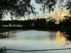 -贡湖湾湿地公园