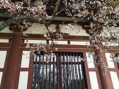 -西安青龙寺遗址景区
