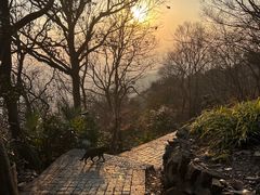 -紫金山山顶公园