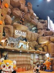 点击看大图 -卡通尼·Safari非洲探索乐园·生日会(金桥国际商业广场店)
