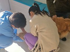 -天宠宠物医院24小时·急重症诊疗中心·全科·腔镜特色(和平分院)