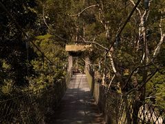 -海南热带雨林国家公园吊罗山景区