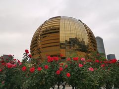 -杭州国际会议中心洲际酒店-原素全日餐厅(解放东路店)