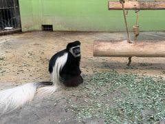 -石家庄市动物园