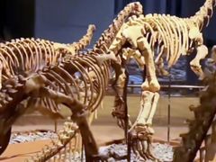 -世界恐龙谷景区