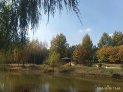 -莫子山公园