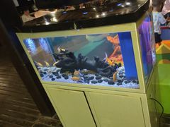 -糟粕醋·椰苑海南菜餐厅(亚龙湾天域酒店)
