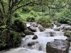 -青城山
